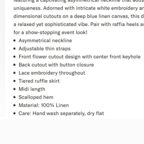 Farm Rio Blue Flowers Richelieu Maxidress - Picture 9 of 9